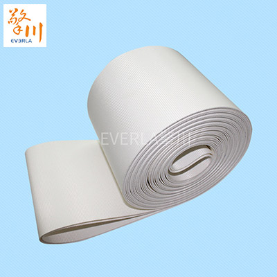 藥品<a href='http://m.zgcinnotown.com.cn/shusongdai/' target='_blank'><u>輸送帶</u></a>