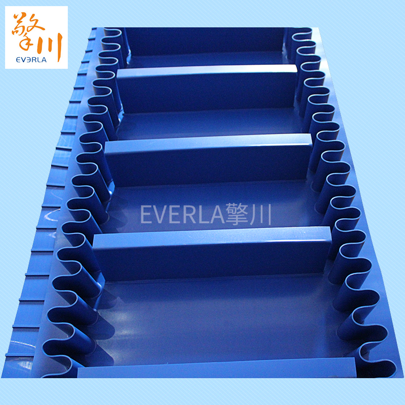 藍(lán)色PU裙邊<a href='http://m.zgcinnotown.com.cn/shusongdai/shipin/' target='_blank'><u>食品輸送帶</u></a>