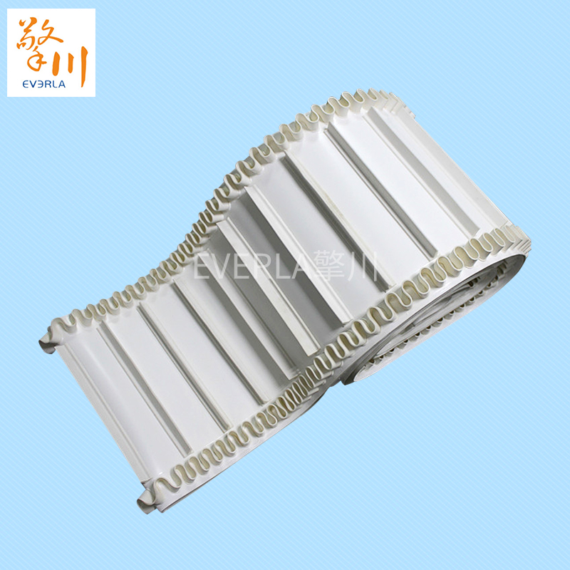裙邊加擋板PU<a href='http://m.zgcinnotown.com.cn/shusongdai/' target='_blank'><u>輸送帶</u></a>主圖