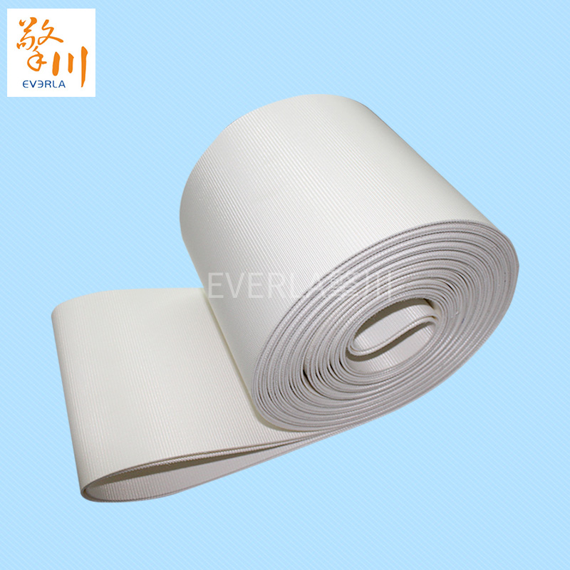 優(yōu)質(zhì)的食品pvc<a href='http://m.zgcinnotown.com.cn/shusongdai/' target='_blank'><u>輸送帶</u></a>主圖