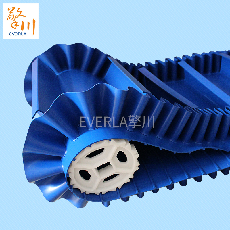 大傾角<a href='http://m.zgcinnotown.com.cn/shusongdai/shipin/' target='_blank'><u>食品輸送帶</u></a>