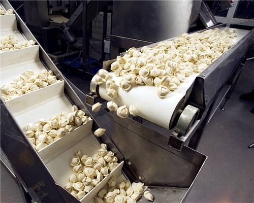 PU<a href='http://m.zgcinnotown.com.cn/shusongdai/shipin/' target='_blank'><u>食品輸送帶</u></a>
